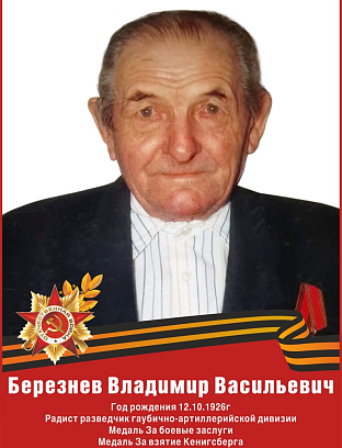 Березнев Владимир Васильевич