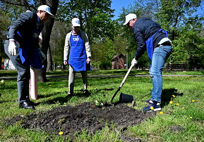 Сотрудники Росводоканала высадили аллею к 80-летию Победы в Краснодаре