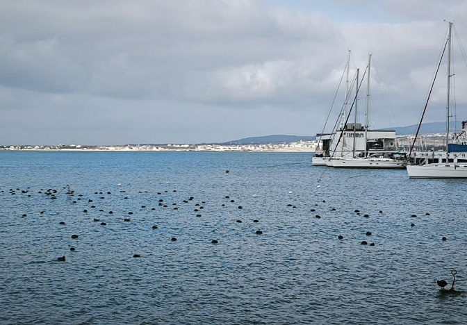 Более 400 участников присоединились к акции «Забег памяти» в Геленджике